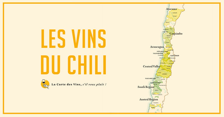 Cap sur les Vins du Chili