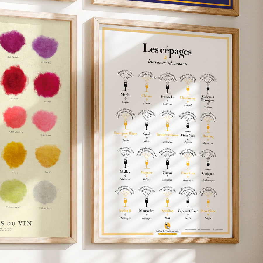 Le Pack Sommelier (4 affiches 50 x 70 cm)