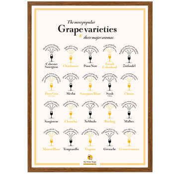 Grape Varieties & their major aromas